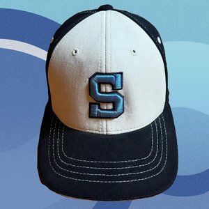 DRIPPY DREW'S: go mariners!